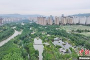 黄历日历西宁市举办六五环境日主题宣传活动