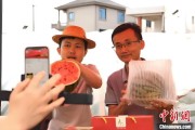 黄历日历（乡村行·看振兴）江西安福“小西瓜”撬动乡村共富“大支点”