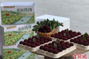 黄历日历高速赋能产业升级：一条“杨梅路”的致富密码