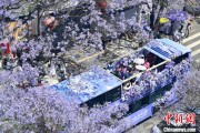 黄历日历2024年云南重点高原湖泊水质稳定 抚仙湖达Ⅰ类